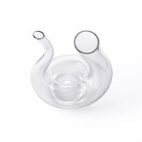 Carafe — Cygne